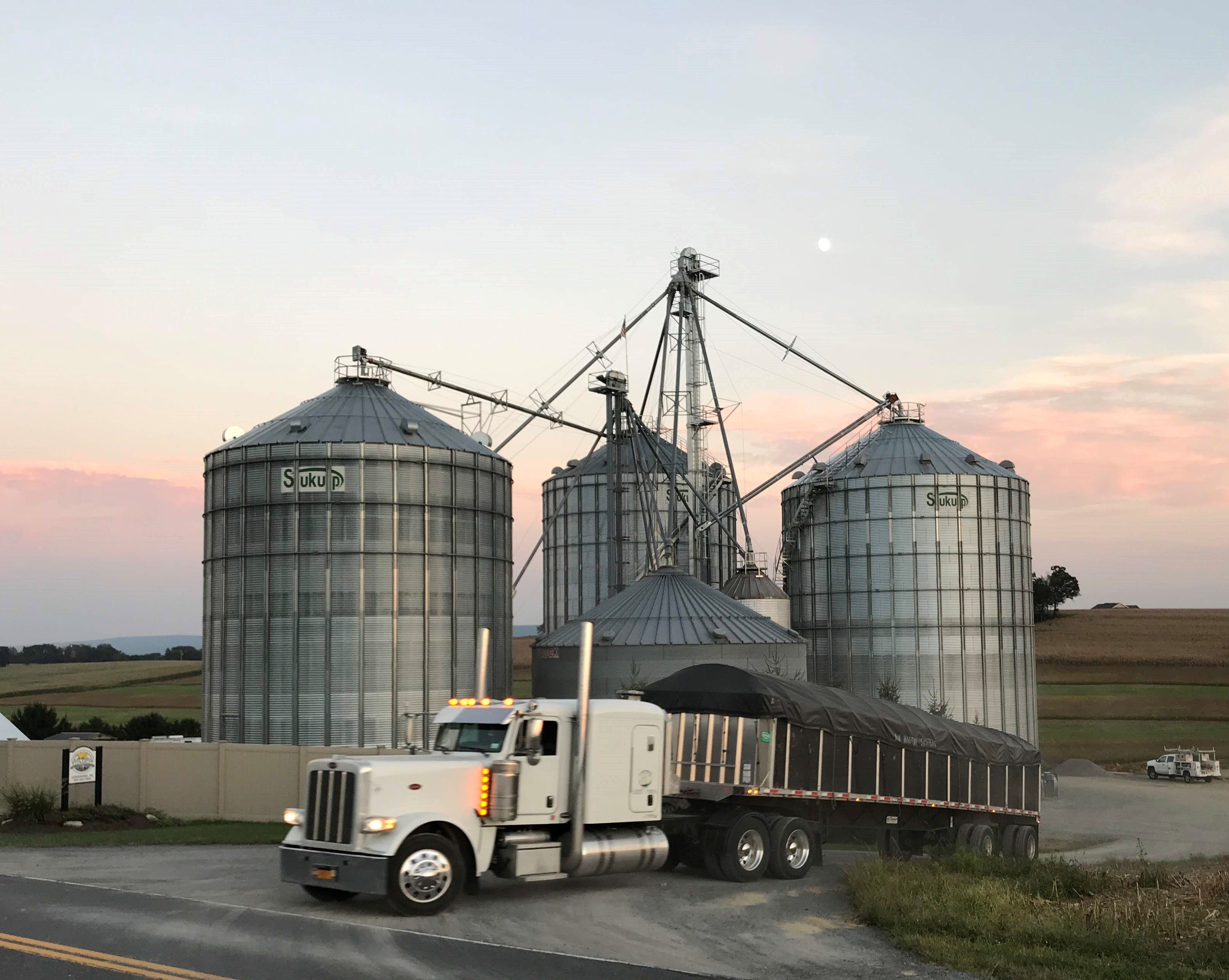 stolzfus-grain-project